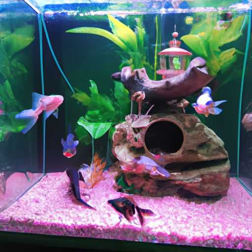 鱼缸潜水泵哪个声音小