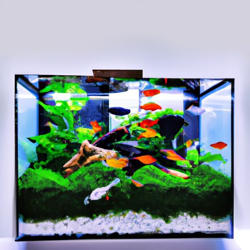 鱼缸增养泵哪个品牌好