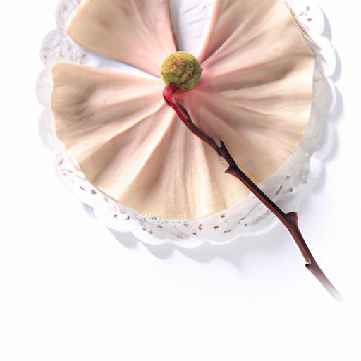 造成聚氨酯防水涂料防水失败的6点原因