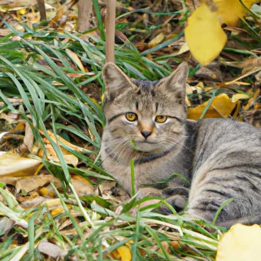 风暖浴霸装在哪个位置