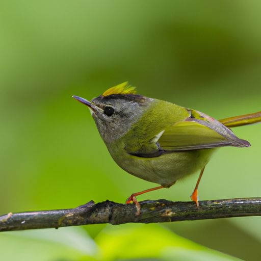 蚕丝被的保养及注意事项