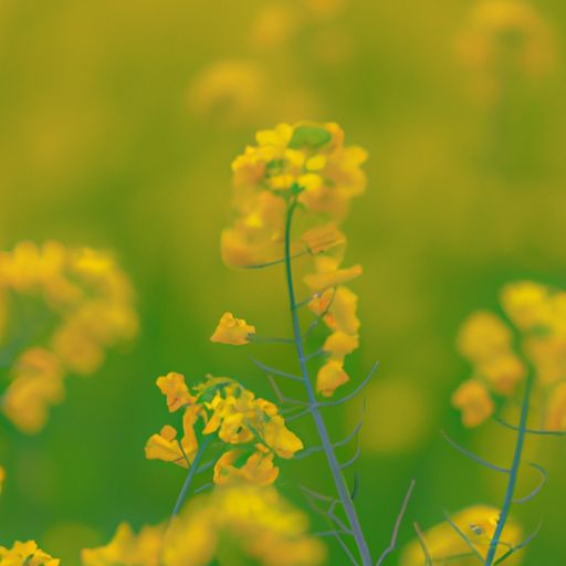 房子漏水吗?建筑防水刻不容缓! 房子漏水吗?建筑防水刻不容缓!