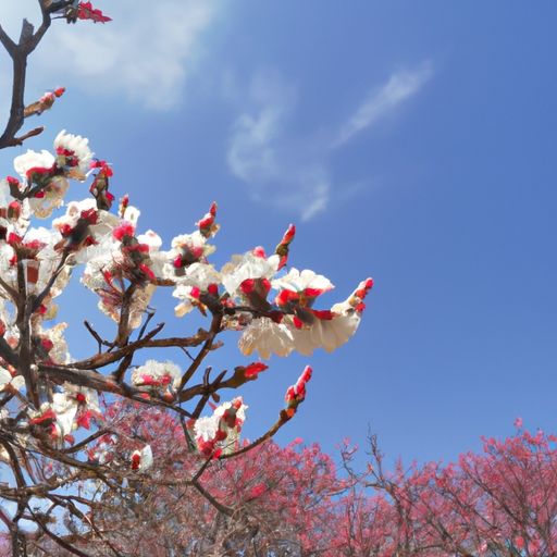 墙面裂缝怎么处理?