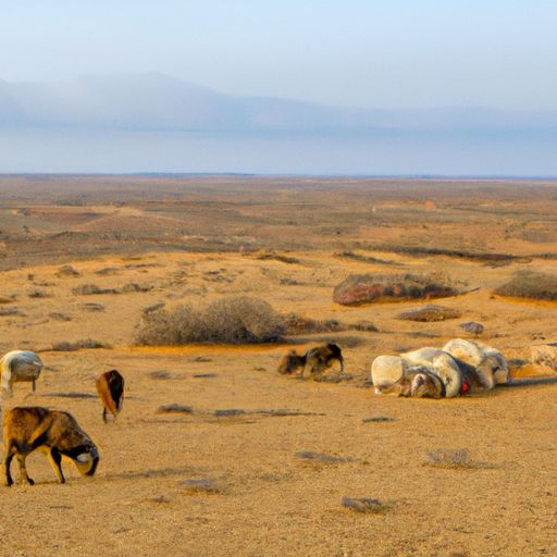 鄂尔多斯羊绒被