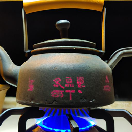 家用烧水壶哪个牌子最好