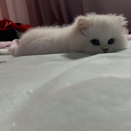 哪个国家床垫最好 哪个国家床垫最好