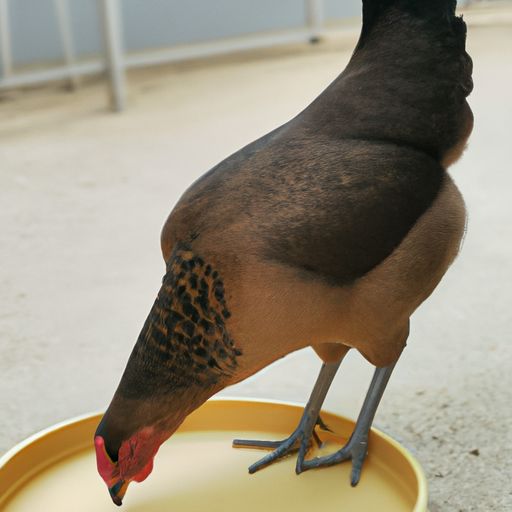 h7n9禽流感病例 h7n9禽流感病例