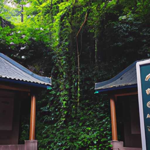 香山电子秤 哪个好