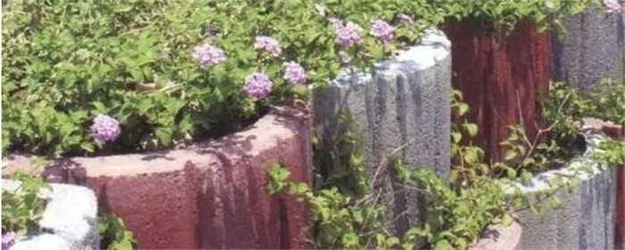 花台设计怎样好看的