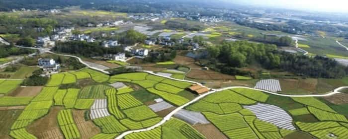 房屋拆迁过后宅基地归属权是谁