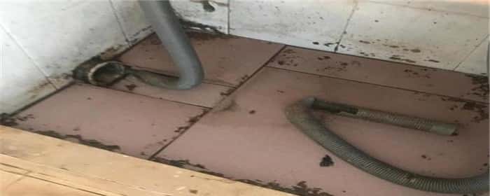 二楼下水道反水是什么原因