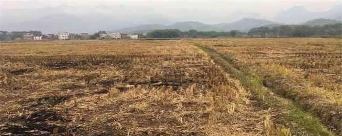 土地流转能建厂房吗