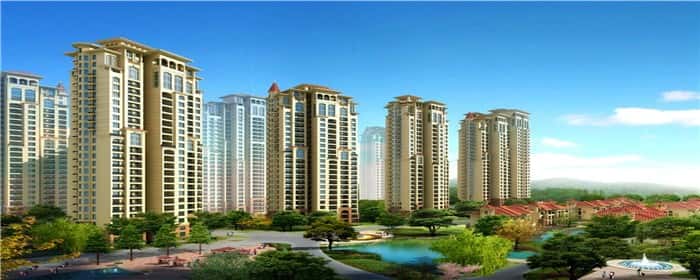 违章建筑找什么部门