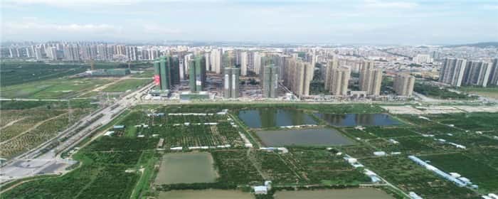 集体土地可以变成国有土地吗