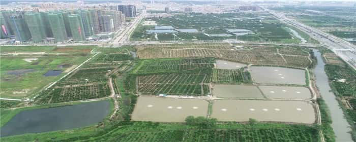 土地买卖的方式