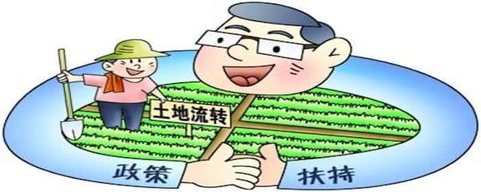 河南土地流转补贴标准是什么