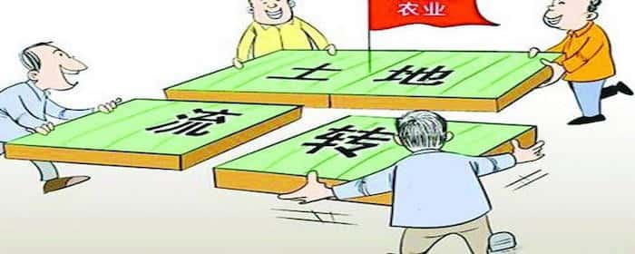浙江农村土地流转补贴标准是什么