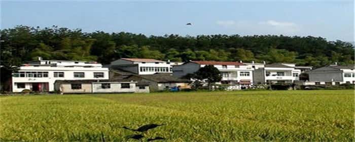 宅基地确权名字重要性
