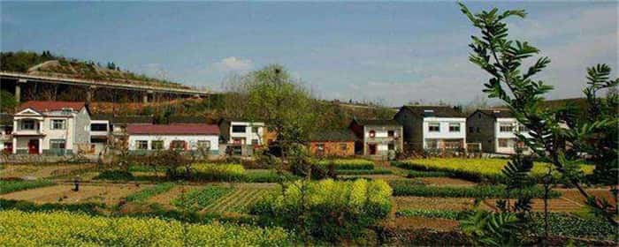 集体土地可以办国有土地吗