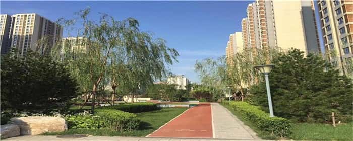 政府拆房子补偿不合理怎么办