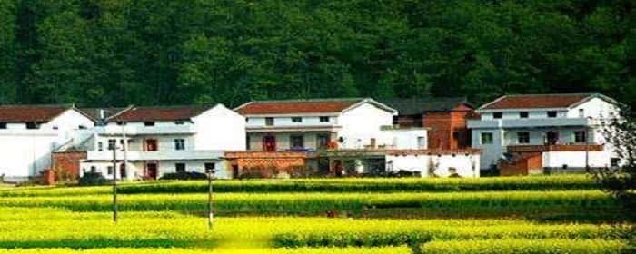 农村宅基地补偿新标准是什么
