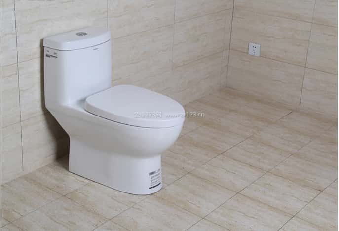 箭牌马桶