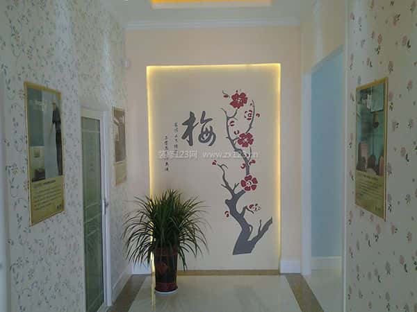 卡西米硅藻泥
