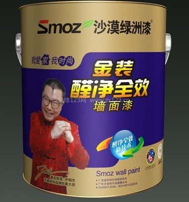 沙漠绿洲漆